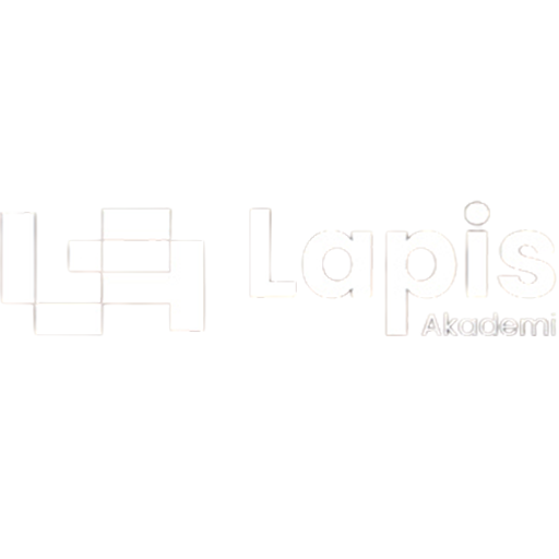 lapisakademi.png